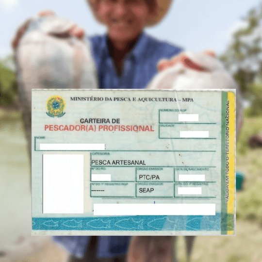 Documentação de pesca